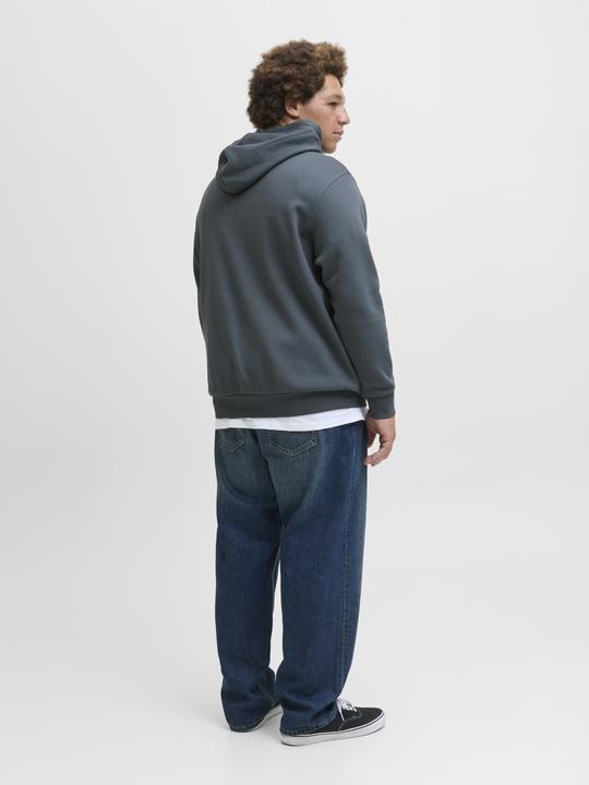 Actual product image Jack & Jones JJELOGO SWEAT HOOD 2 COL 24/25 NOOS PLS (8XL)