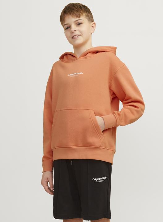 Actual product image Jack & Jones Hoodie (152)