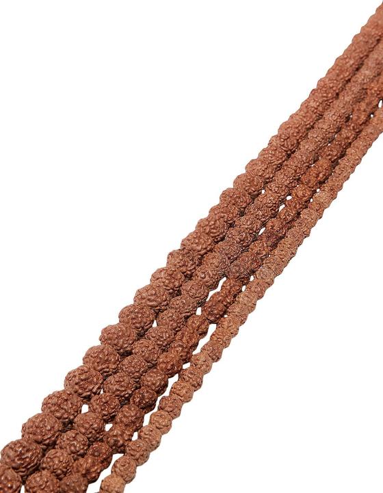 Leyda Rudraksha Strang natur