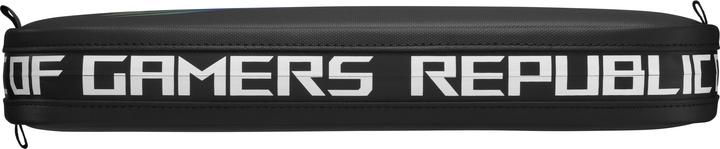 Actual product image ASUS ROG Ally Travel Case
