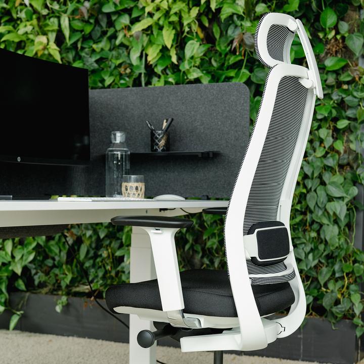 Image du produit Yaasa Chair Expert - blanc