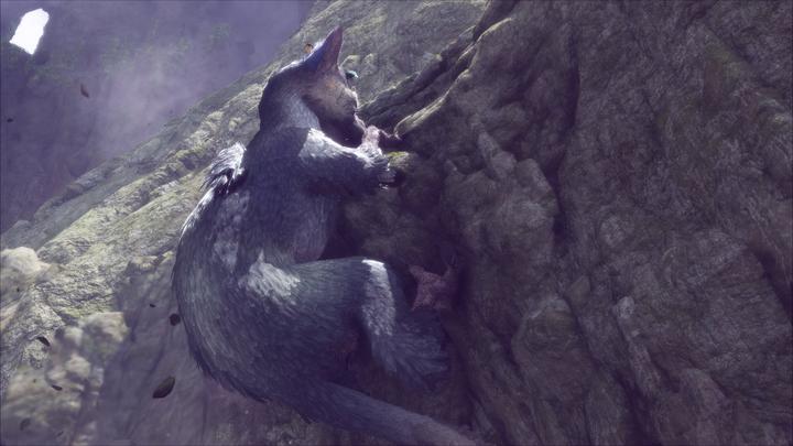 Actual product image Sony The Last Guardian (PS4, Multilingual)