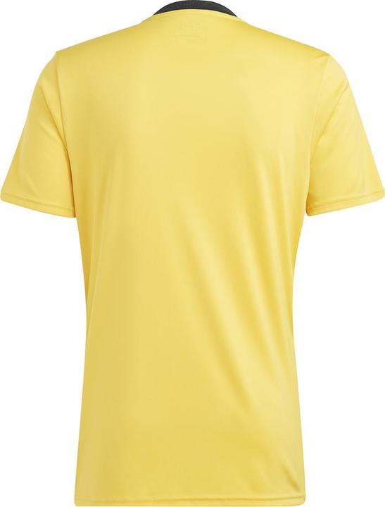 Actual product image adidas Team Icon 23 Jersey (XS)