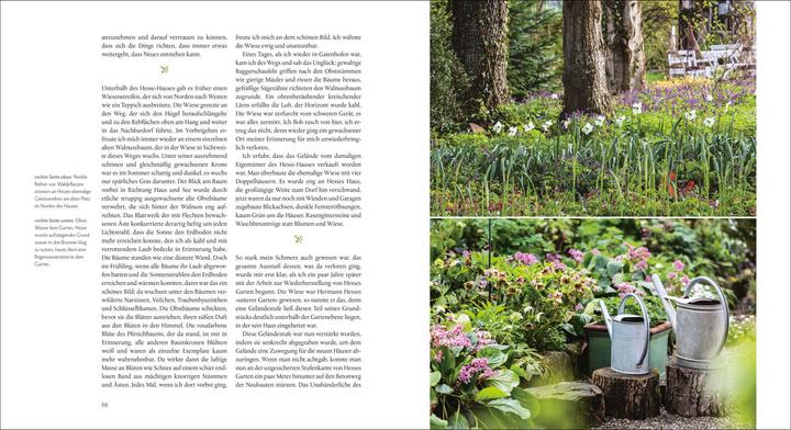 Produktbild Der Garten von Hermann Hesse (Deutsch, Eva Eberwein, 2016)
