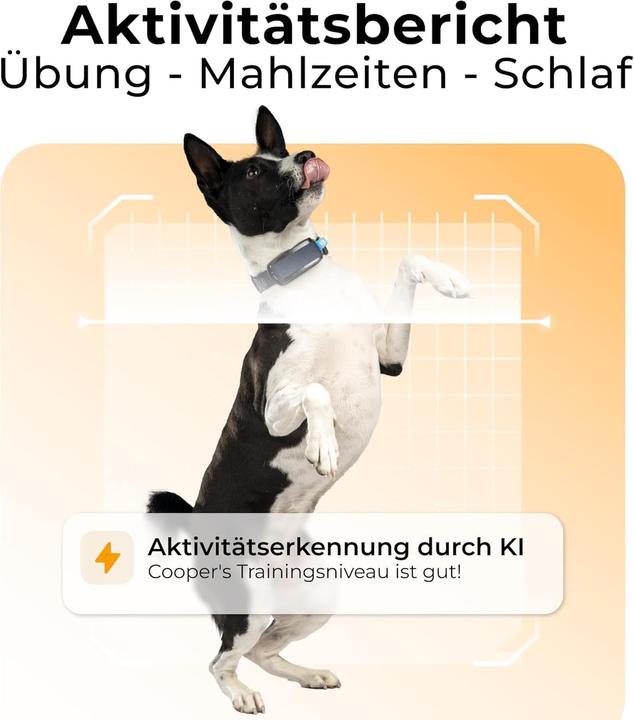 Image du produit Invoxia GPS Tracker Bundle, abonnement d'un an inclus (Android, iOS)