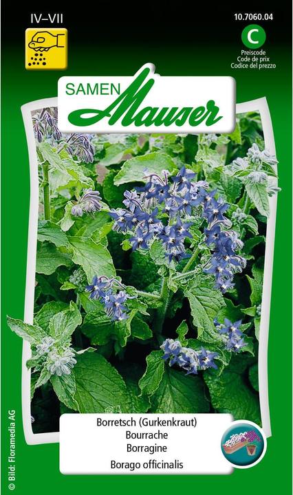 Samen Mauser Bourrache (Graines de légumes)