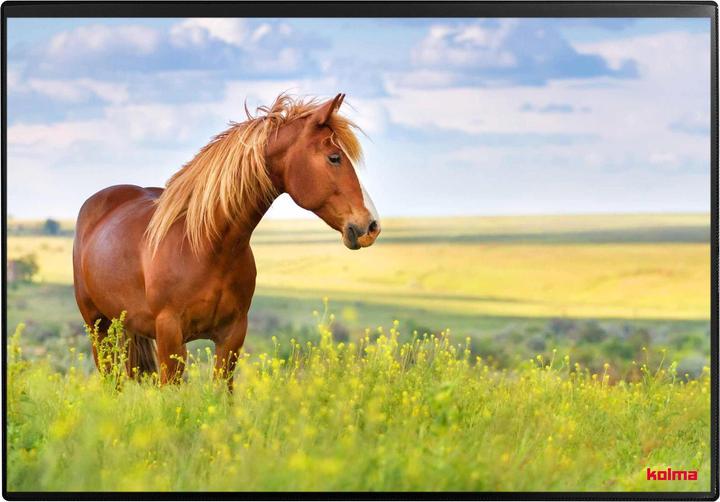 Produktbild Kolma Schreibunterlage Poster (Pferd) 50 x 34 (50 x 34 cm)