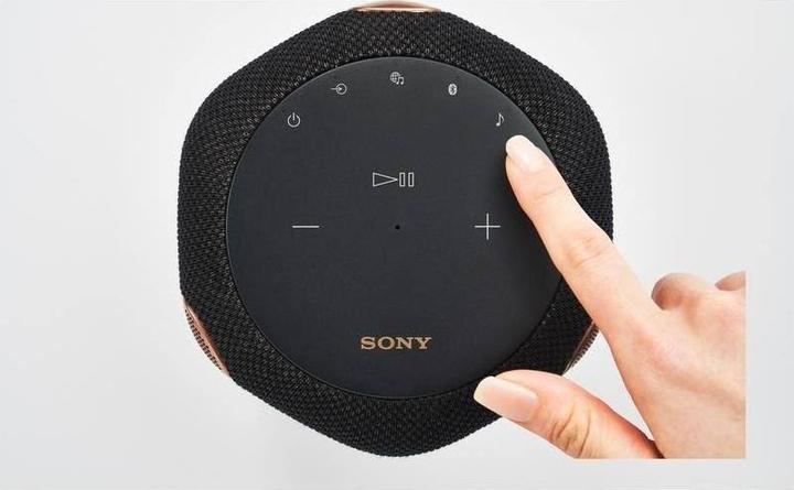 Actual product image Sony SRS-RA3000 (Electrical connection)