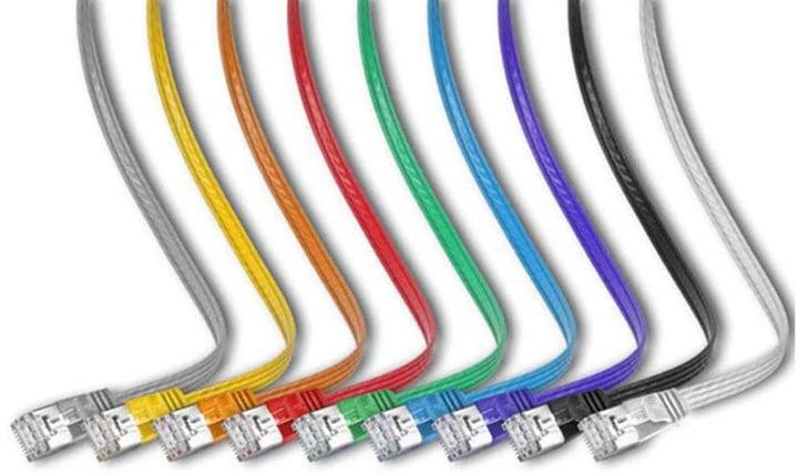 Actual product image Wirewin Network cable (STP, CAT6, 0.75 m)