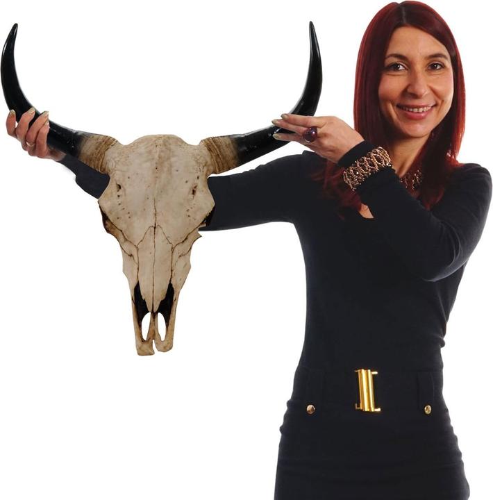 Produktbild JOHN316 Deko Schädel 45cm Stier
