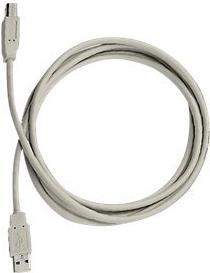 Produktbild Exsys USB-Kabel USB (M) bis USB Typ B (M) (5 m, USB 2.0)