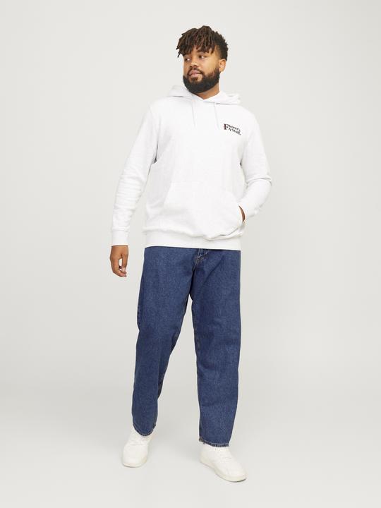 Actual product image Jack & Jones Jjichris Jjoriginal Sq 741 Pls (W54/L32)