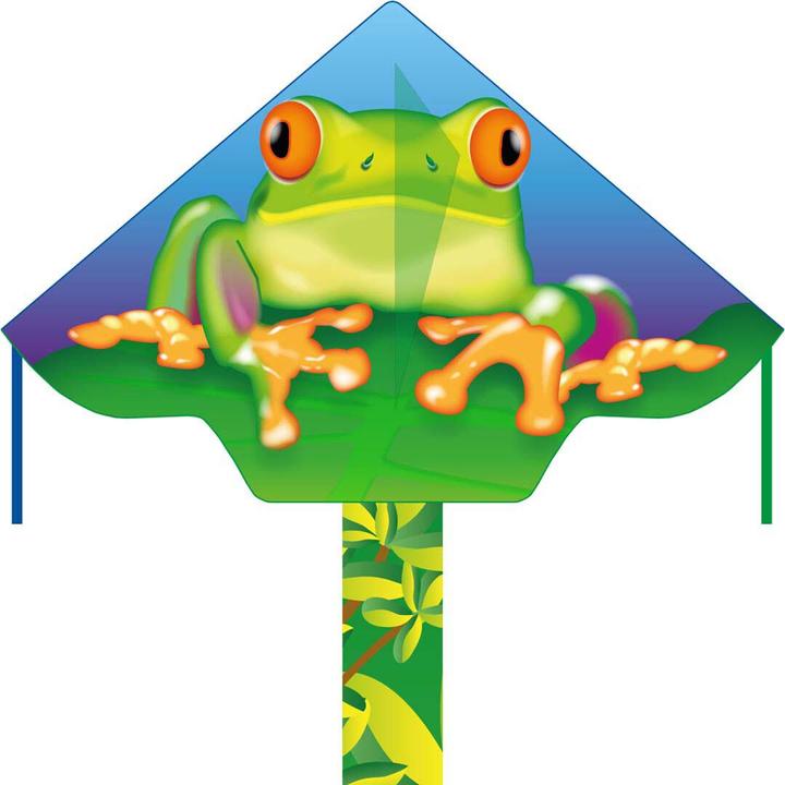 Actual product image Invento Children kite Simple Flyer Froggy
