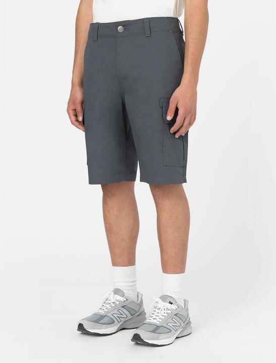Actual product image Dickies Millerville Short (30)
