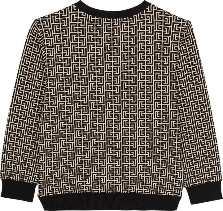 Produktbild Balmain Sweatshirt (12XL)