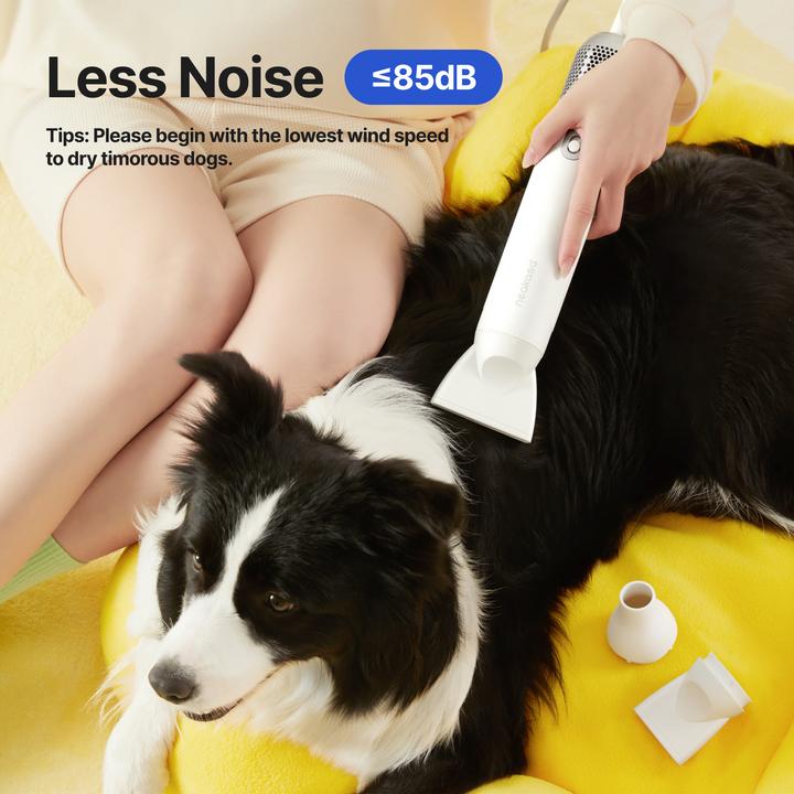 Produktbild Neakasa F1 Fast Quiet (Hund, Katze)