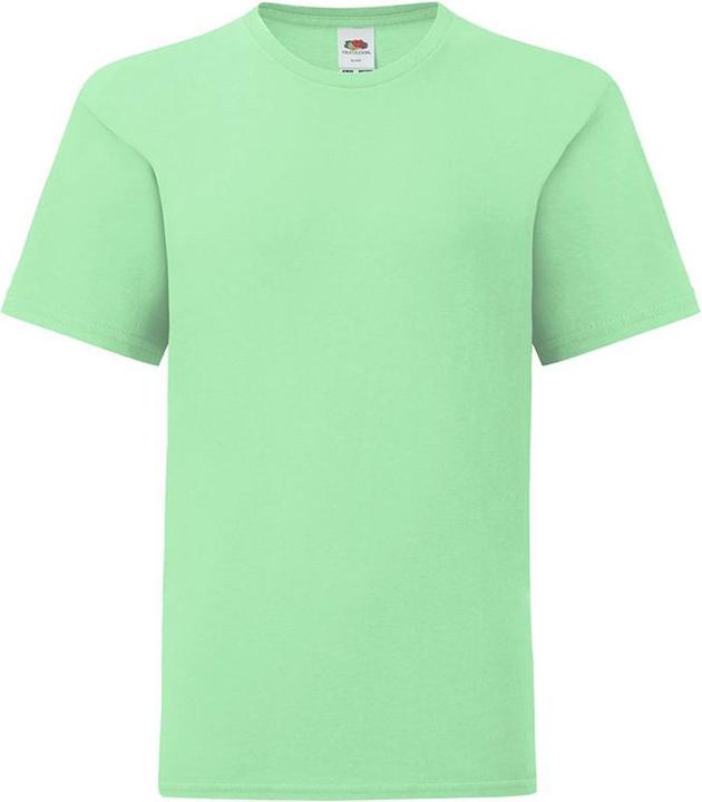 Fruit of the Loom UTBC4731 P