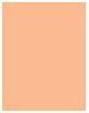 Actual product image Sisley Phyto Complexion Nude (1N Ivory)