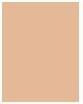 Actual product image Maybelline New York Affinitone (16 Vanilla Rose)
