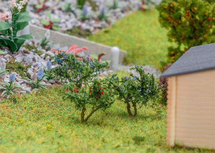 Produktbild Faller 95571 12 Blueberry and Currant Bushes