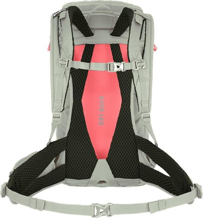 Produktbild Salewa Alp Trainer L Rucksack Da (20 l)
