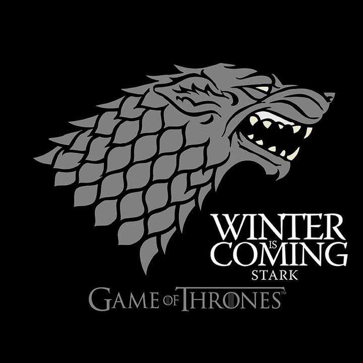 Actual product image ABYstyle GAME OF THRONES - Tshirt Winter is coming man SS black - basic (L)