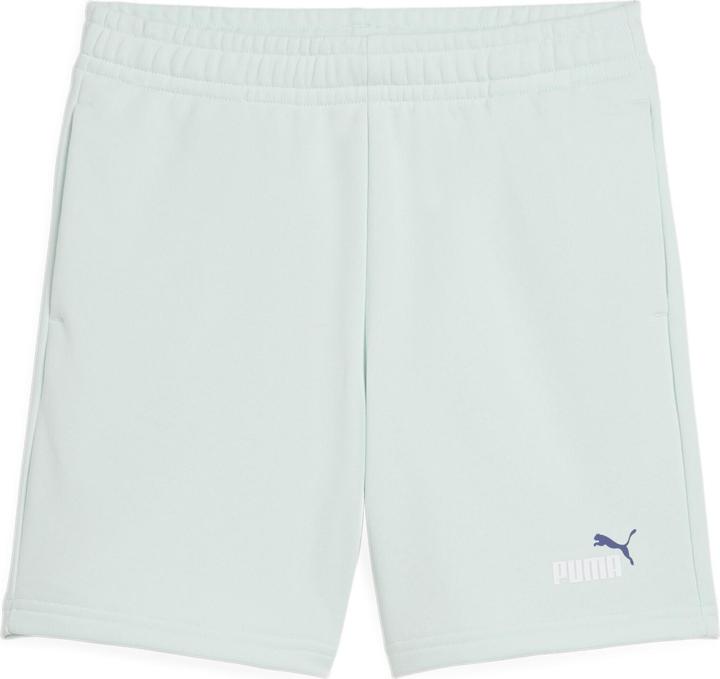 Actual product image Puma ESS 2 COLOR No. 1 Logo Shorts TR B (164)