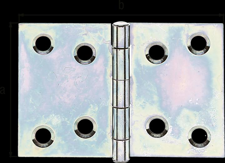 Actual product image GAH Alberts hinge wide 50 mm galvanised