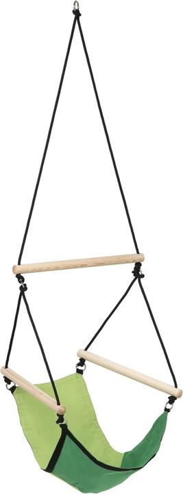 Actual product image Amazonas Swinger (60 kg)