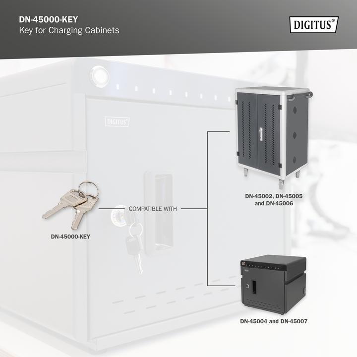 Actual product image Digitus Key for Charging Cabinets