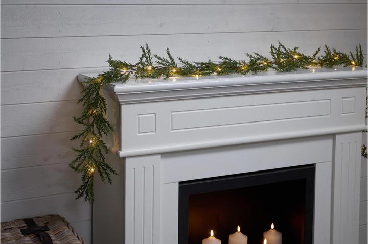 Image du produit Star Trading Thuja