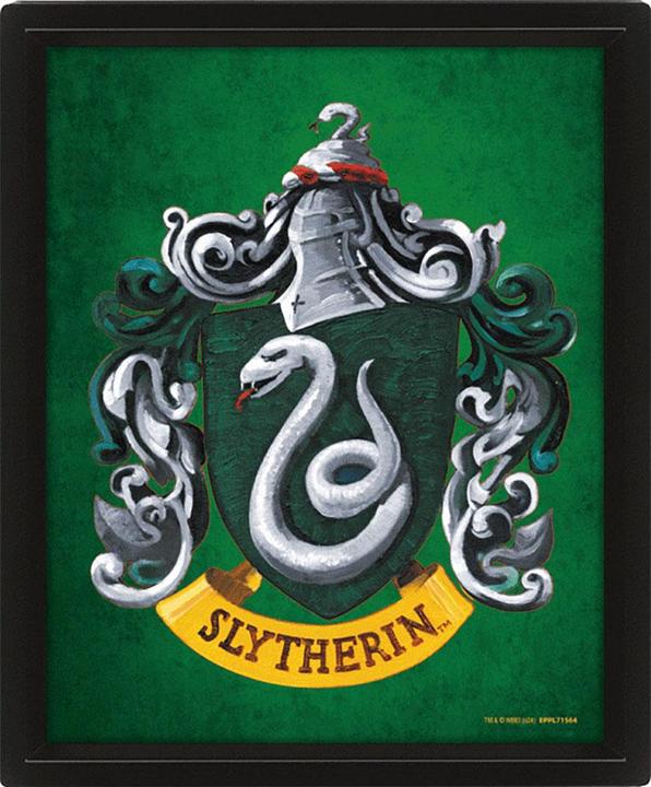 Actual product image Slytherin 3D Framed Picture