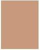 Immagine prodotto Shiseido Synchro Skin Self-Refreshing (310 Seta)