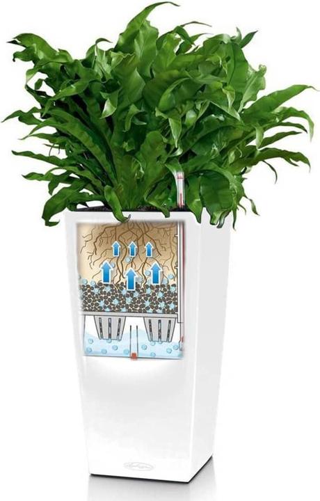 Actual product image Lechuza Cubico Color (22 cm)