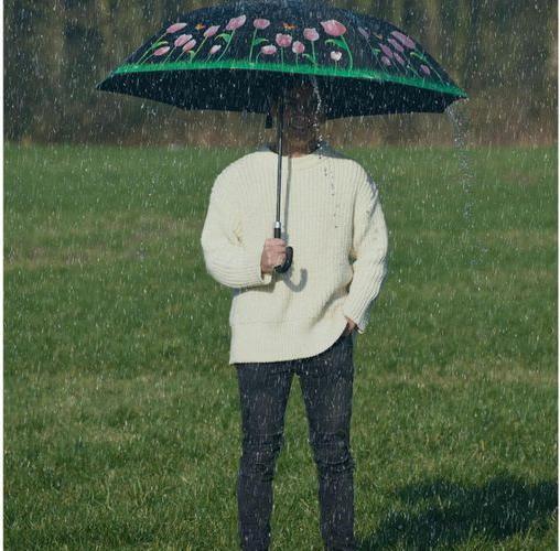 Image du produit Esschert Design Parapluie Tulipes Multicolore