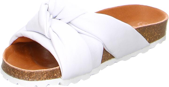 Actual product image Verbenas Rainbow Blanco (38)