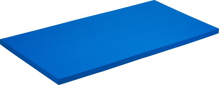 Sport-Thieme Fallschutzmatte SL