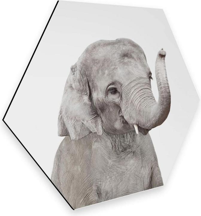 Produktbild Trenddeko Baby Elefant (35 x 30 cm)