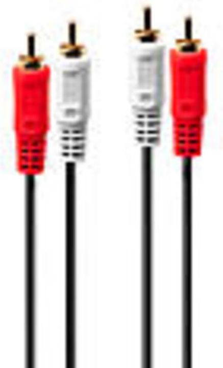 Immagine prodotto Lindy Cavo audio stereo stereo 2x RCA maschio a 2x RCA maschio, 10m, placcato oro (10 m, Cinch)