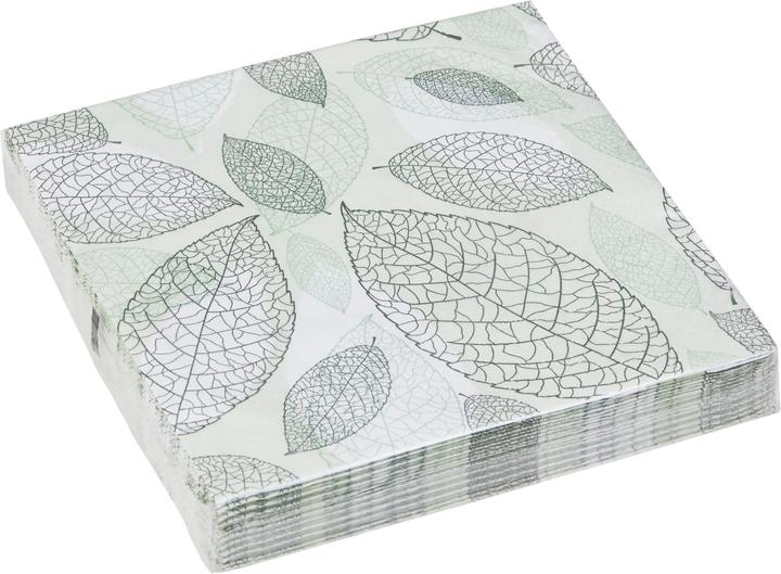 micasa Ameline (20 x, 33 x 33 cm)