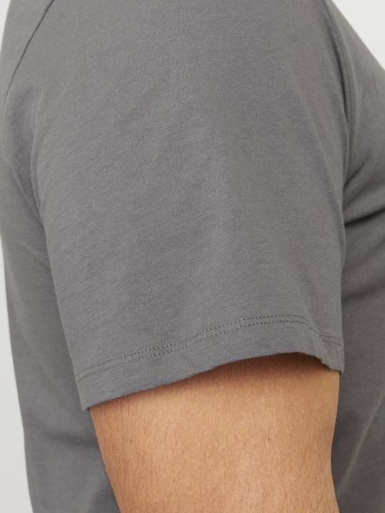 Actual product image Jack & Jones Jjebradley Tee Ss Noos Pls (6XL)