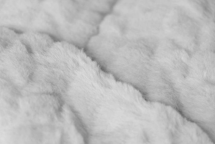 Actual product image Trend Pet Dog blanket Heaven, Grey, Size L (Dog)