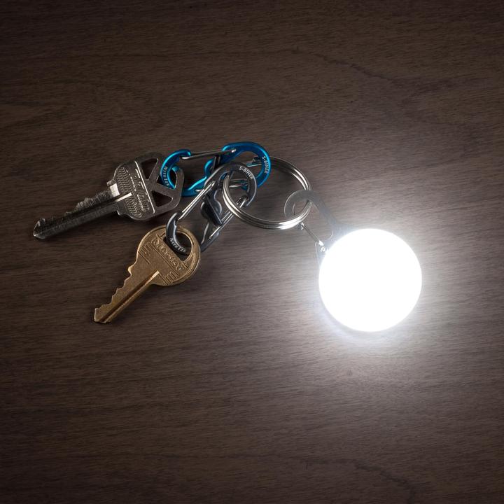 Actual product image Nite Ize SpotLit Carabiner Light - Disc-O Select
