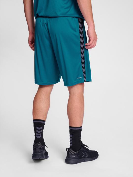 Actual product image hummel Hmlauthentic Pl Shorts (3XL)