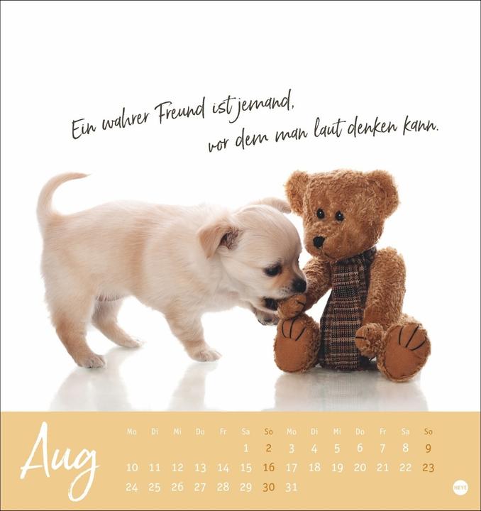Actual product image Ziemlich beste Freunde Postkartenkalender 2026 - Für immer dein (Hardcover, German)