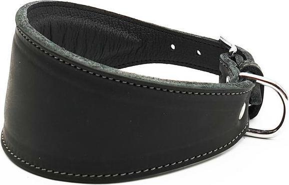 Produktbild Colly Windhundhalsband (Hund, Allgemein)