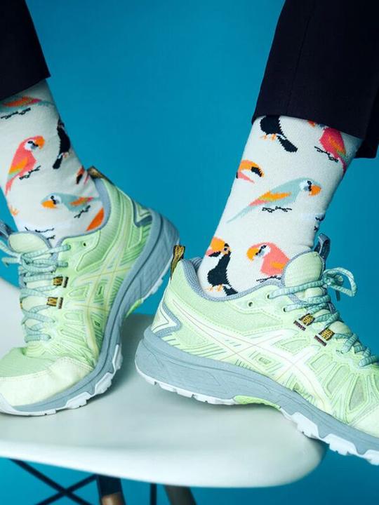 Actual product image DillySocks Sand Aviary (Single pack, One size)