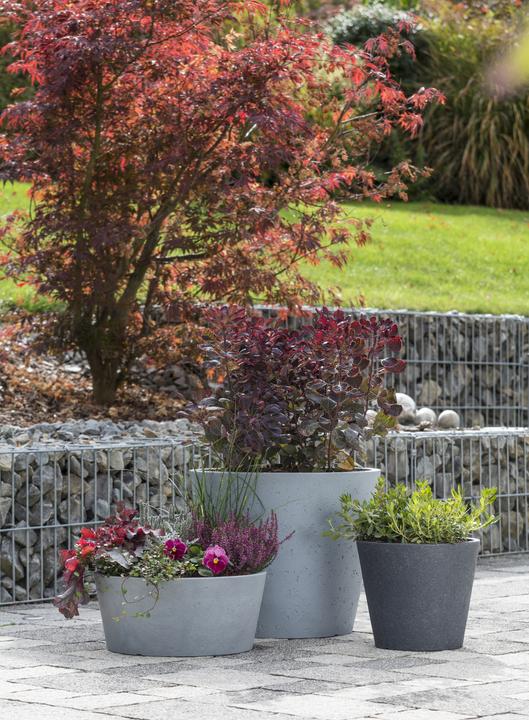 Produktbild Scheurich C-Cone Bowl (39 cm)