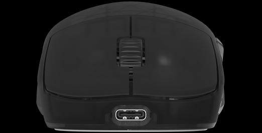 Produktbild Endgame Gear OP1w 4k Wireless Gaming Maus, kabellos - Dark Frost (Kabellos)