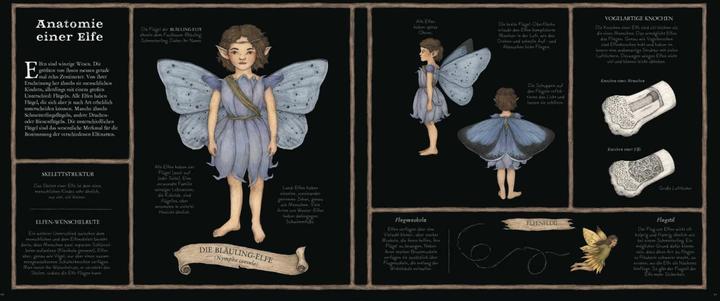 Actual product image Das grosse Handbuch der Elfen (German, Emily Hawkins, Jessica Roux, 2020)